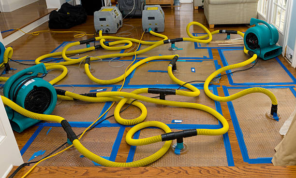 Professional Water Damage Restoration technician working in Upperville, VA